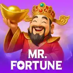Mr. Fortune