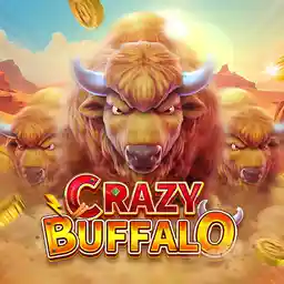CRAZY BUFFALO